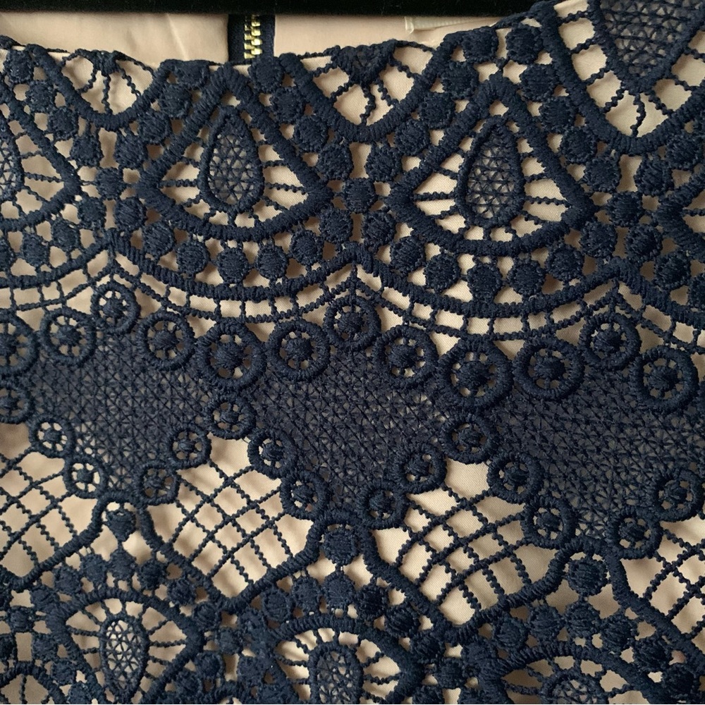 Eliza J Scalloped Lace Navy Sheath Dress Size:10 NWOT Gold Zipper On Back. - Picture 7 of 10